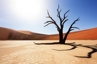 Illustration eliminate