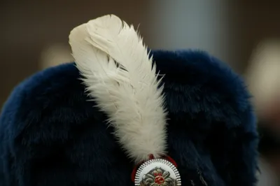 Illustration heckle - Image 1