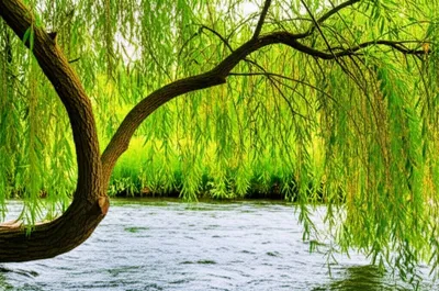 Illustration benders