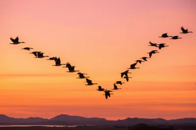 Illustration patterns - Image 1