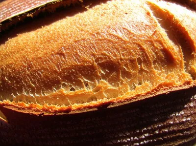 Illustration incrusting - Image 1