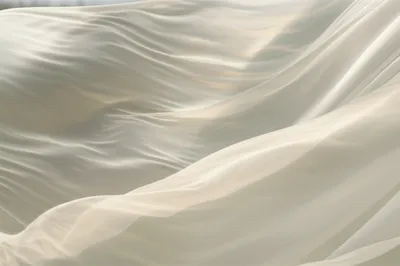 Illustration flows - Image 1