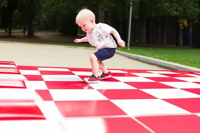 Illustration novices