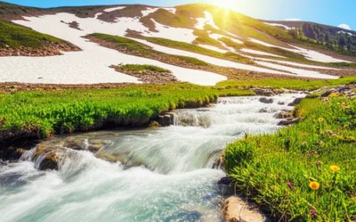 Illustration melt - Image 1