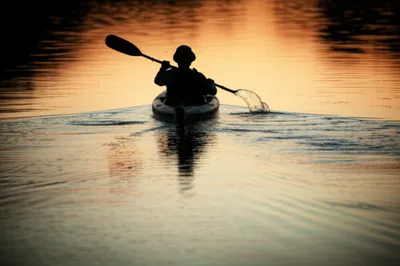 Illustration paddle - Image 1