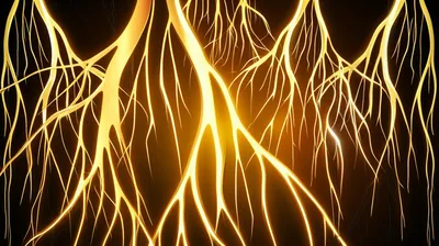 Illustration gold - Image 1