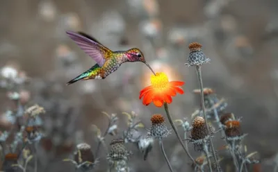 Illustration sings - Image 1