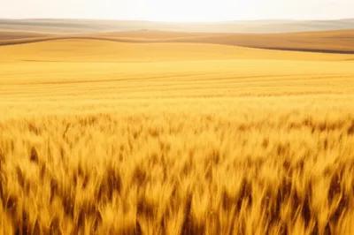 Illustration tracts - Image 1