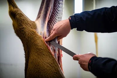 Illustration legging - Image 1