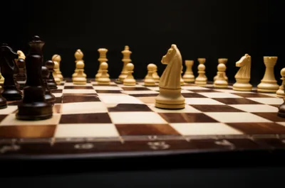 Illustration grounds - Image 1