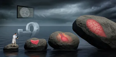 Illustration staging - Image 1