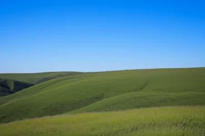 Illustration broadest - Image 1