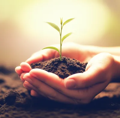 Illustration therapeutic - Image 1