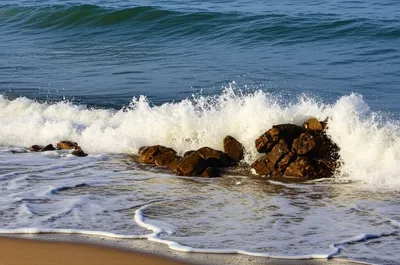 Illustration dislodges