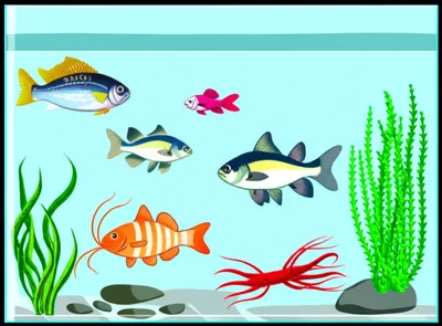 Illustration aquarium