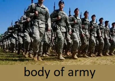 Illustration body - Image 4