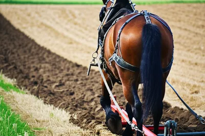 Illustration offside - Image 1