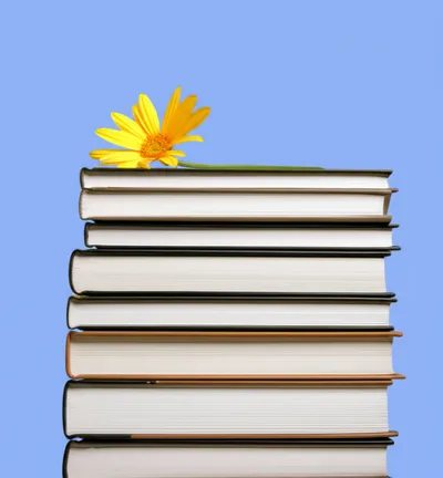 Illustration orders - Image 1