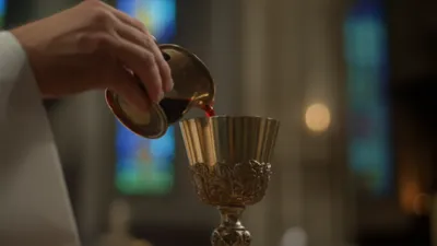 Illustration purifications - Image 1