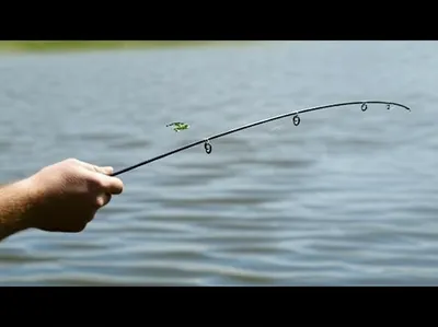 Illustration lash - Image 1