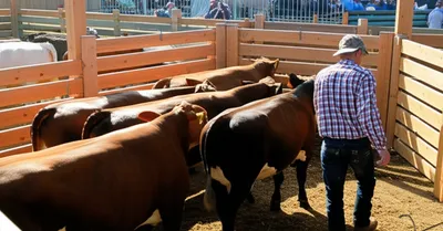 Illustration stance - Image 1