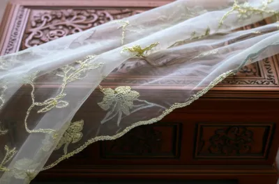 Illustration face - Image 1