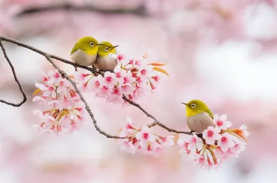 Illustration couple - Image 1