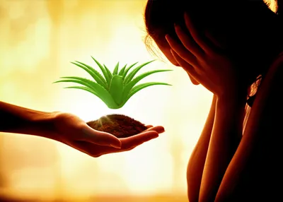 Illustration remedies - Image 1