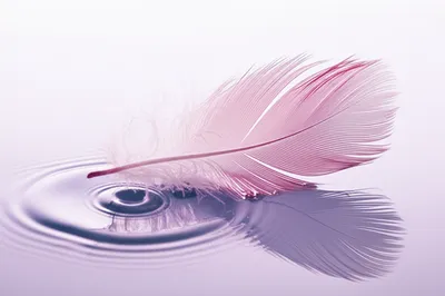 Illustration gentle - Image 1