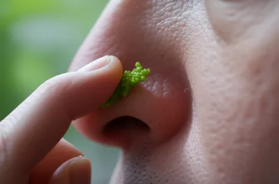 Illustration bogey - Image 1