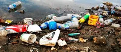 Illustration filth - Image 2