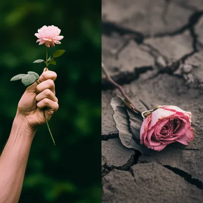 Illustration effeminate - Image 1