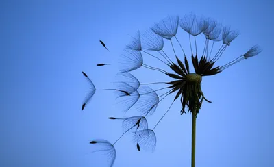 Illustration vanishingly