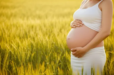 Illustration great - Image 1