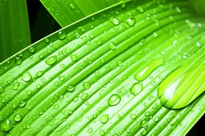 Illustration wetting - Image 1