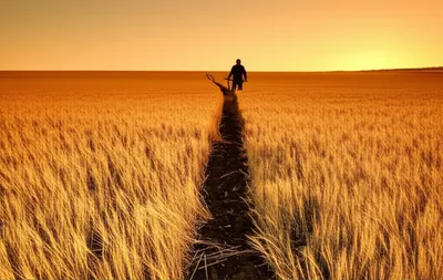 Illustration plow - Image 1