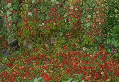 Illustration hotbed - Image 1