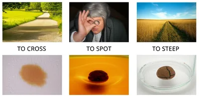 Illustration hatching - Image 1