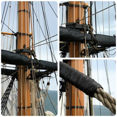 Illustration cap - Image 1