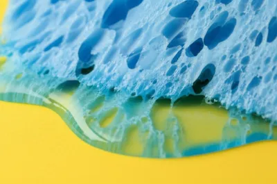 Illustration sponge - Image 1