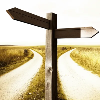 Illustration guide - Image 1