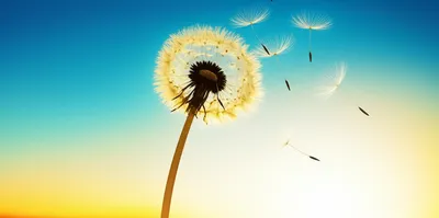 Illustration hope - Image 1