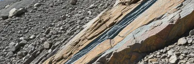 Illustration crops - Image 1