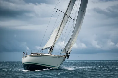 Illustration hauling - Image 1