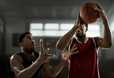 Illustration robs - Image 1