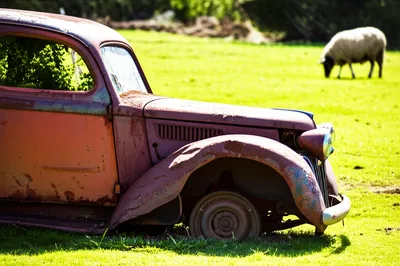 Illustration crocks - Image 1