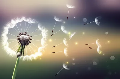 Illustration sprays - Image 1