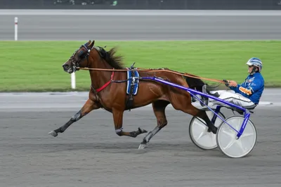 Illustration pacer - Image 1