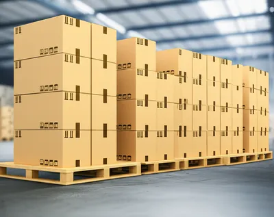 Illustration bulk - Image 1