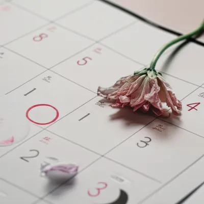 Illustration month - Image 1